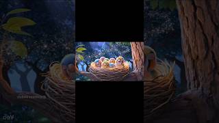Sound Sleep 💤 💤 #birdsounds #singing #lullaby #soothing #night #music #new #trendingshorts #fypage