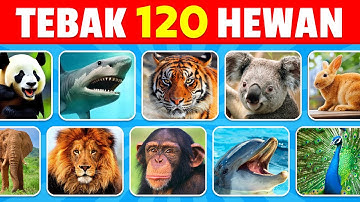 Tebak 120 Hewan dalam 3 Detik | Mudah, Sedang, Sulit, Mustahil