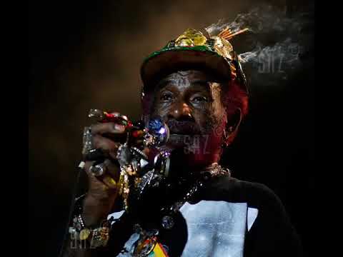Lee Scratch Perry   Panic in Babylon (2004)