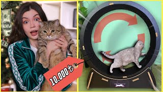 En Pahali Kedi̇ Ürünleri̇ni̇ Test Etti̇m 2 Kedi Koşu Bandı Kameralı Mama Kabı
