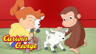 Learning About Animals with George 🐵 Curious George 🐵 Kids Cartoon 🐵 Kids Movies