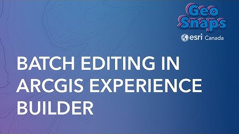 Batch Editing in ArcGIS Experience Builder