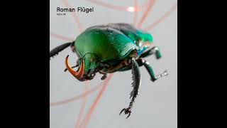 Fabric 95 - Roman Flügel (2017) Full Mix Album