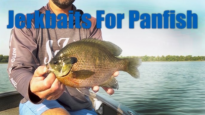 Fishing My Favorite Ultralight Rod  St. Croix Legend Elite Panfish 