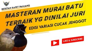 Masteran Cucak Jenggot Buat Masteran, Besetan Rapet Panjang DURASI LOSS 1 JAM