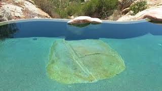 Vanishing Edge Pool With Exposed Boulder In The Pool!