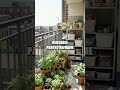 Tiny Steps to a Circular Kitchen in a City Studio