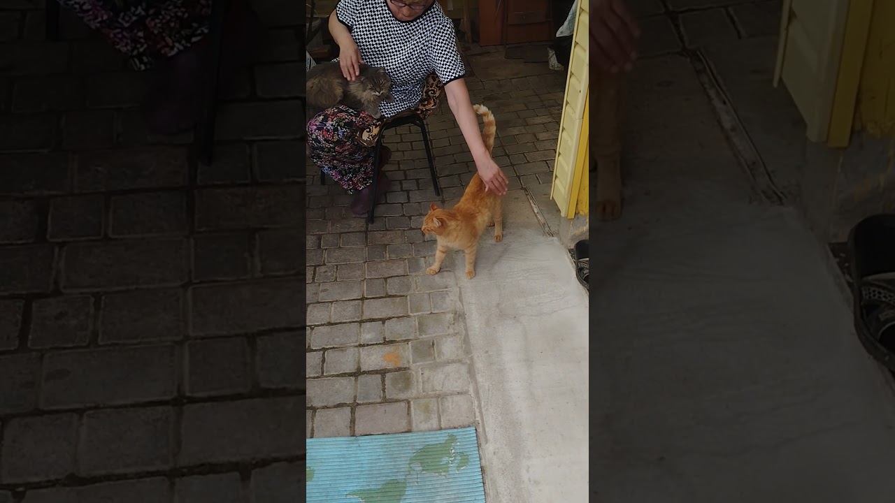 Нашлась потеря!На даче под Минском. 