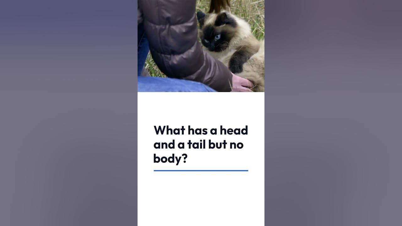 Daily Riddle - What has a head and a tail but no body? - YouTube