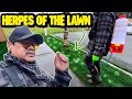 Why won't the herpes of the lawn just leave us alone 😩😂 End of fall lawn maintenance!