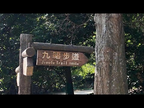 2025.12.16 新埔九芎湖九福步道 鴛鴦池 陳家農場