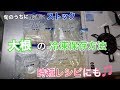 【冷凍保存方法】大根まるごと１本有効活用！煮物や時短レシピにも最適