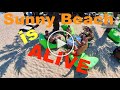 Sunny Beach is ALIVE / It's breathing 22/06/2021 - What is happening in #SunnyBeach #Sonnenstrand