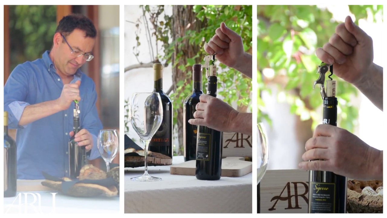 Cantine Aru | Visite e degustazioni in vigna