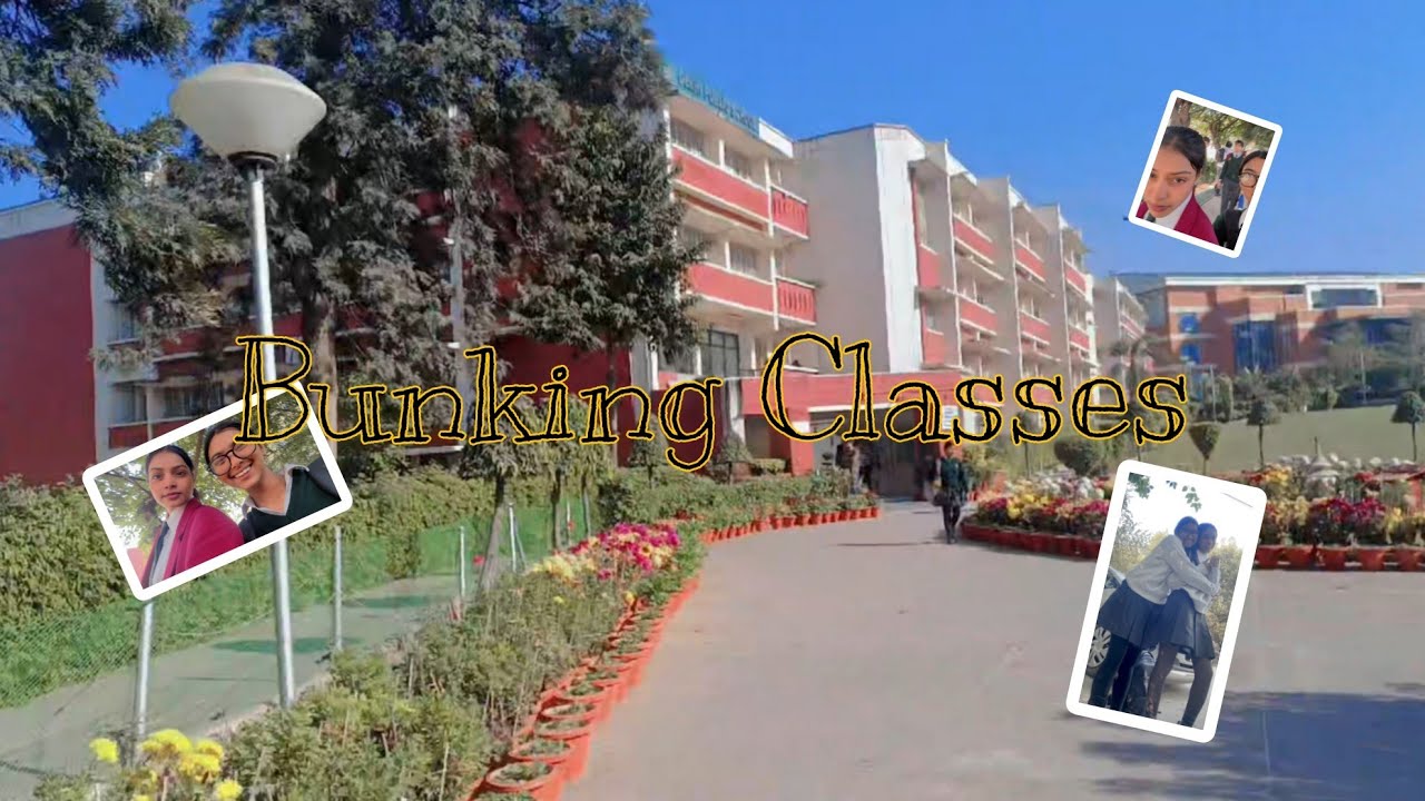 CLASS BUNK ☠️😂