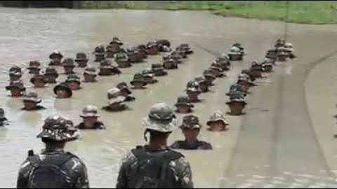 The process of attitude change