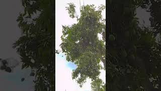 Download Lagu SW STATUS WHATSAPP STORY WA SHORT VIDEO 108 MP3