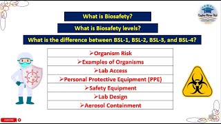 What is the difference between BSL-1, BSL-2, BSL-3 and BSL-4? | Biosafety levels #biosafety