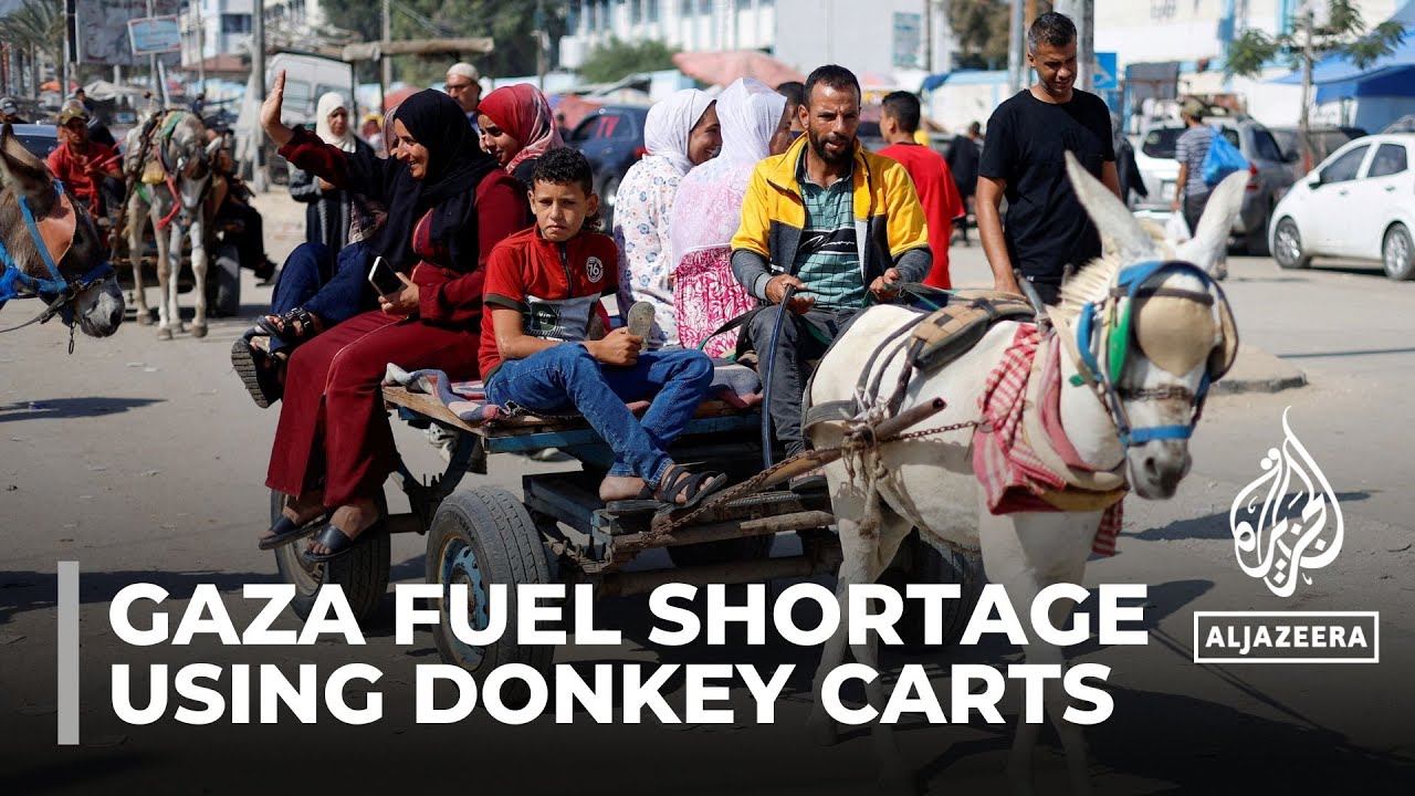 Palestinians in Gaza resort to donkey carts for transport
