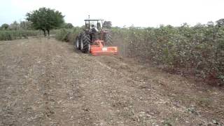 Tractor SAME Explorer 95 con Desbrozadora Tortella en cultivo de algodón. Tractocentro Colombia