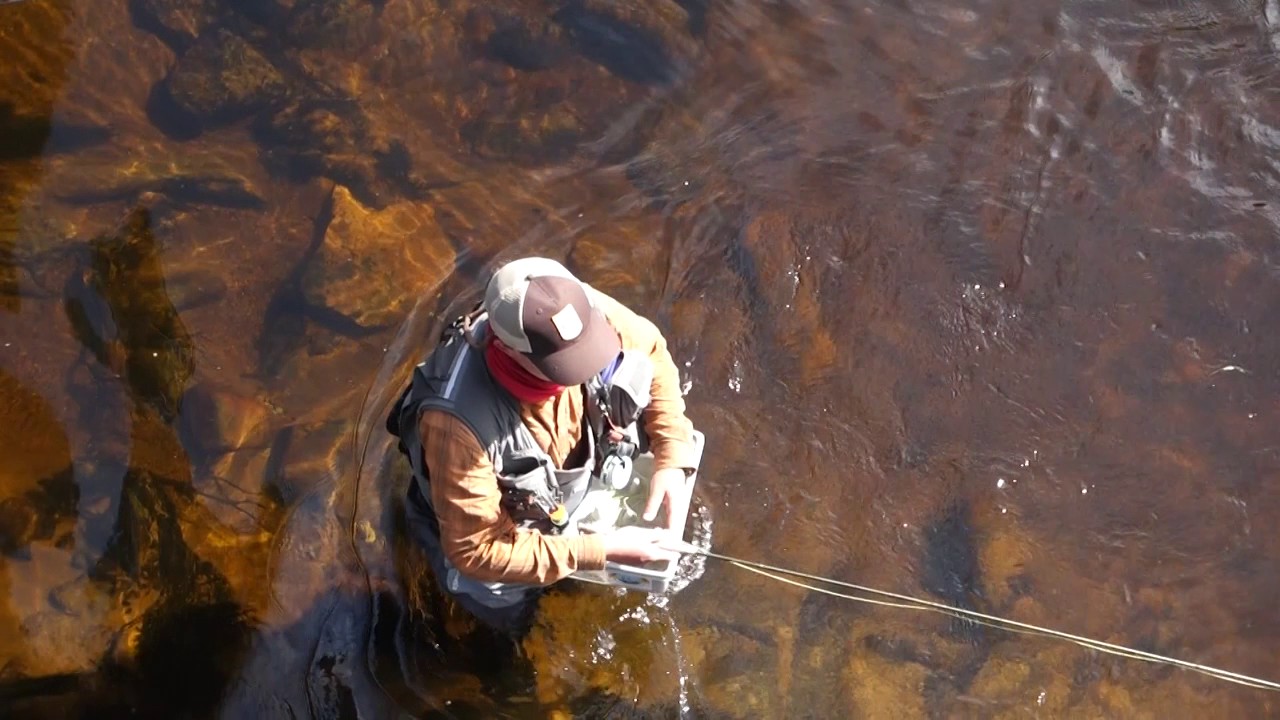 Galten 2017 Invicta på tur