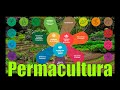 🌱 PERMACULTURA: Una Agricultura Sostenible y Permanente (mini Documental)