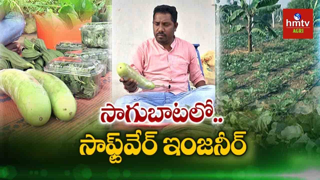 Software Engineer Rajesh Innovative Farming | High Density Farming | hmtv Agri