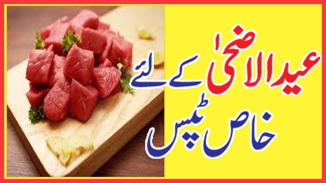 bari eid tips | bakra eid tips | by sanam