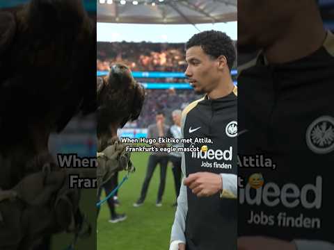 Replay match