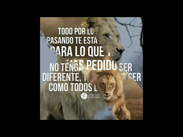 Frases de Leones Guerreros con Alfredo Quijano el karma - YouTube