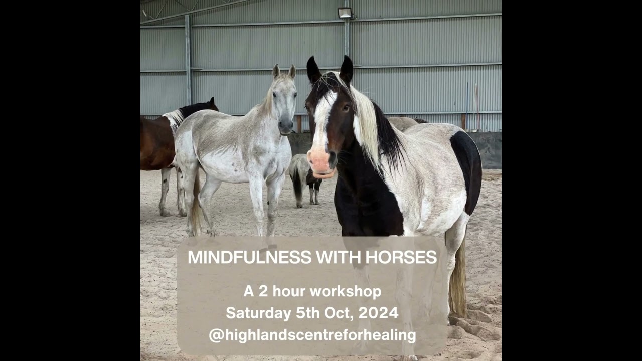 Mindfulness Workshop 