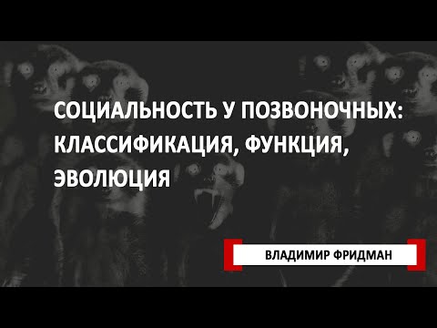 Социальность у позвоночных: классификация, функция, эволюция