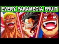 All Paramecia Users and Their Powers Explained! (One Piece Every Devil Fruit)