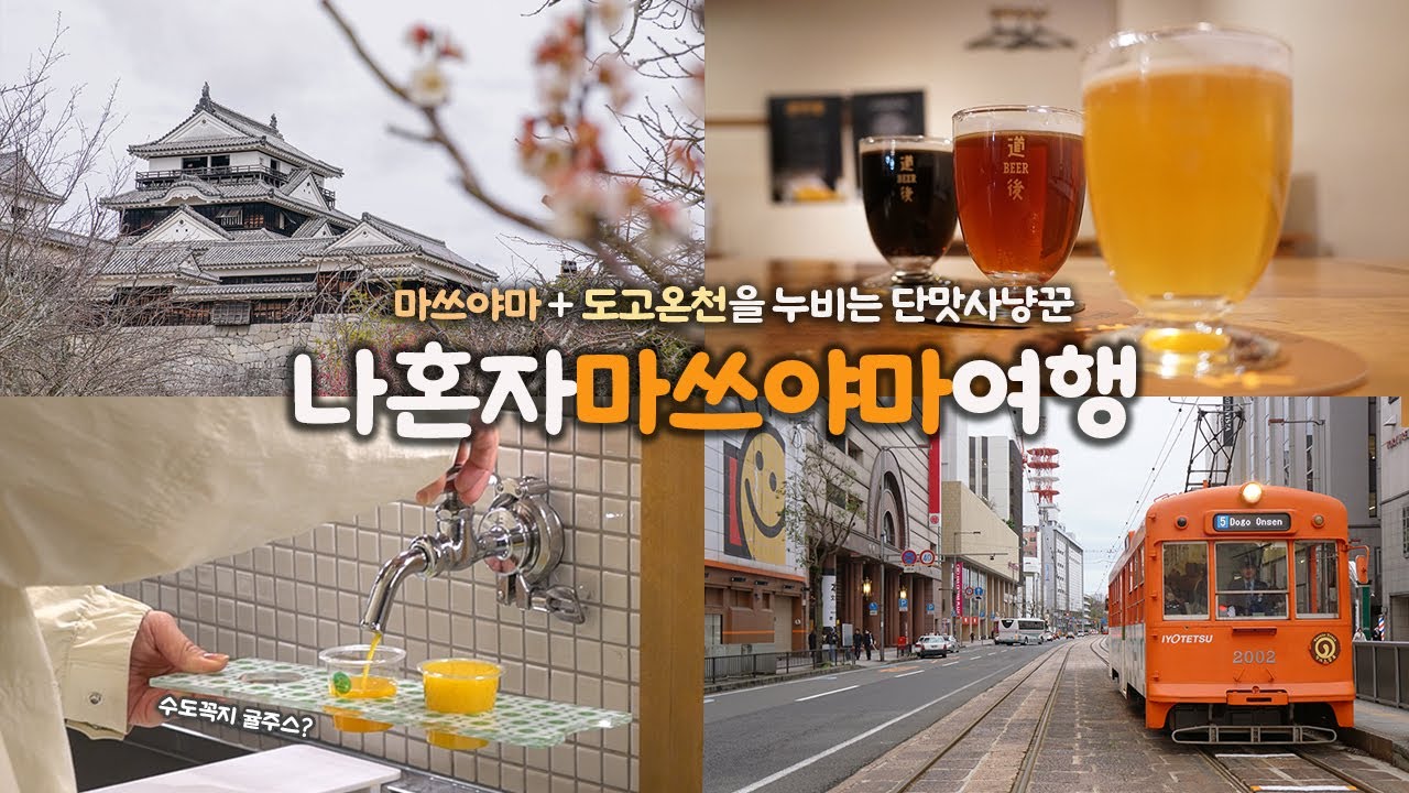 나혼자 마쓰야마 여행｜🍊완벽하게 마쓰야마 + 도고온천을 여행하는 방법 ｜귤의 도시에 단맛중독자의 등장이라.. 🥳｜도미밥🐟, 브루어리🍺, 귤디저트 👍｜혼자 일본여행 하는사람er