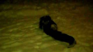 Natalie Rullar I Snön