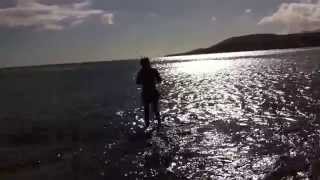 Fishing Costa Calma Beach 7 KG Amberjack HD