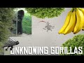 Anti-grinder confession, readiness | Battlefield 4
