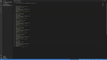 W13 Lab Segregation Sort Program