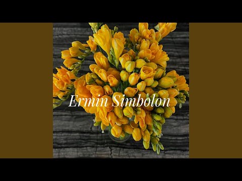 TONDI TONDIKU ( Official Video )  Style Voice