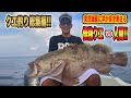 【クエ釣り】船クエ釣り総集編❕突然の舞い込みから怪物クエとの格闘見せます❕