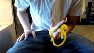 Famous green tree python fresh shed Wealth