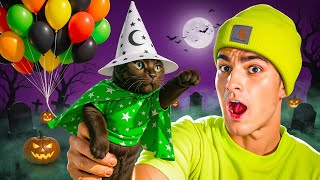 I Made My Cats Fly for HALLOWEEN