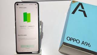 How to update software in oppo A96,A55 | oppo A76 software update kaise kare | Software update screenshot 5