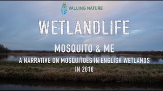 Mosquito and Me - a narrative on mosquitoes in English wetlands in 2018