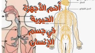 مما يتكون الجهاز العصبي🧠 والتنفسي🙎‍♀️ Fizyolojiوكيف نستطيع الحفاظ على صحتهما⁉️🤔هام جدآ👆