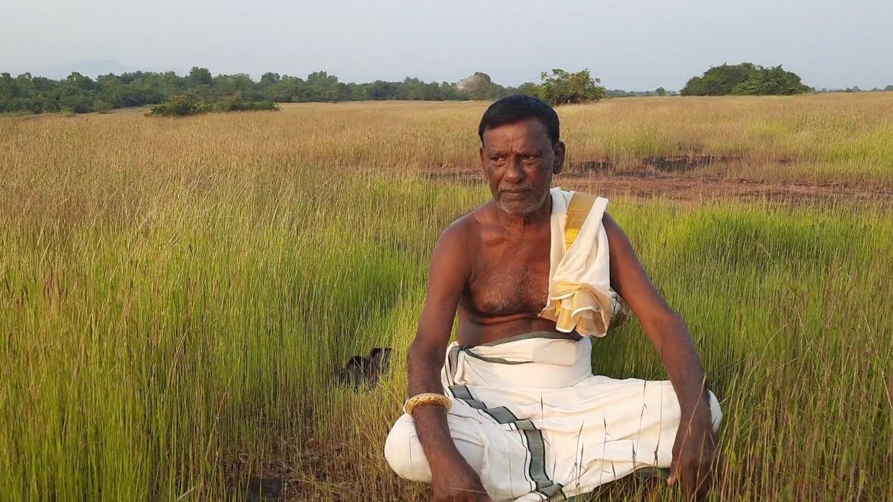 വടക്കേമലബാറിലിനി കളിയാട്ടക്കാലം.    || ചന്ദ്രൻ പണിക്കർ || Chandran Panikkar ||