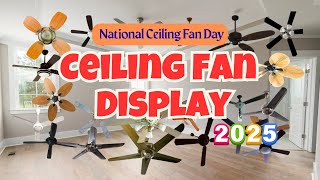 Ceiling Fans With Sound Wave Ncfd 2025 Ceiling Fans Spinning For Kids, Toddlers, Preschoolers