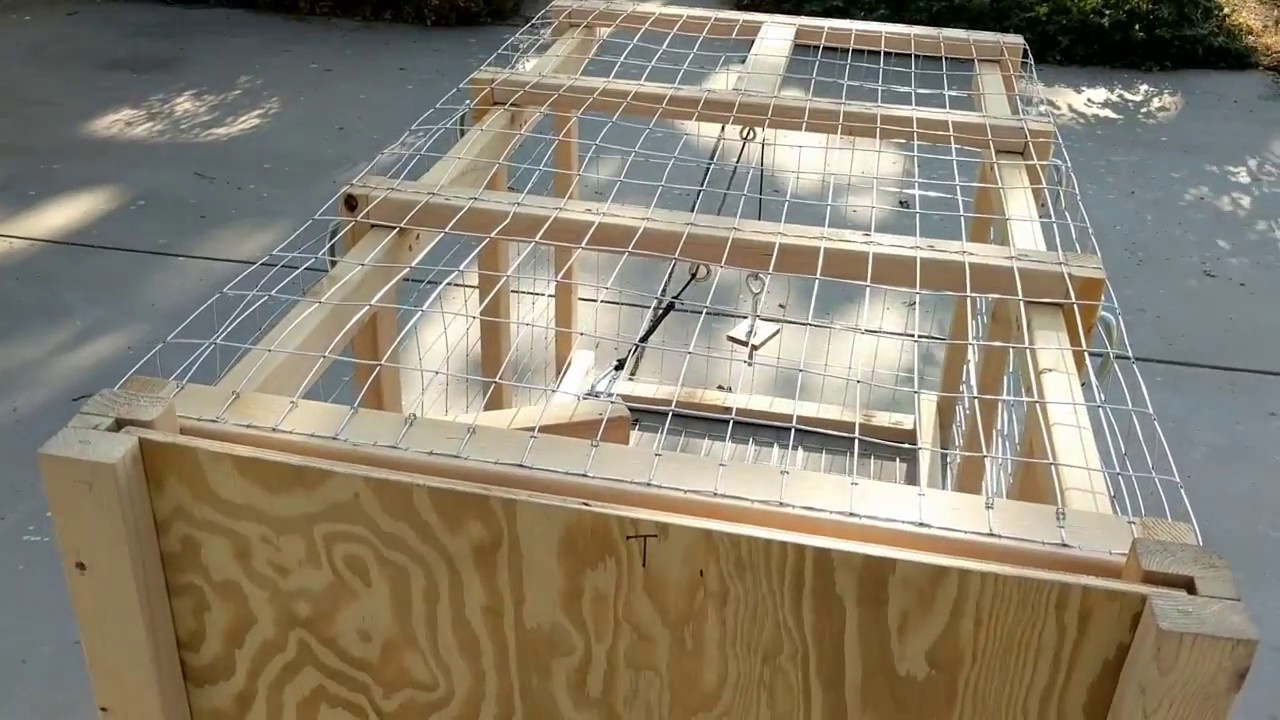 How to Build a Dog Trap - YouTube