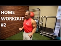 HOME WORKOUT #2   Back, Biceps and Traps