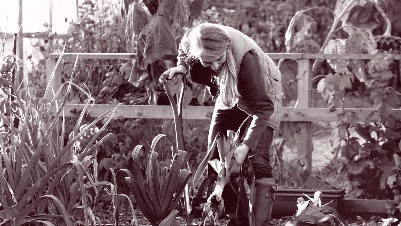 Lean In: Women, Work, and the Will to Lead by Sheryl Sandberg